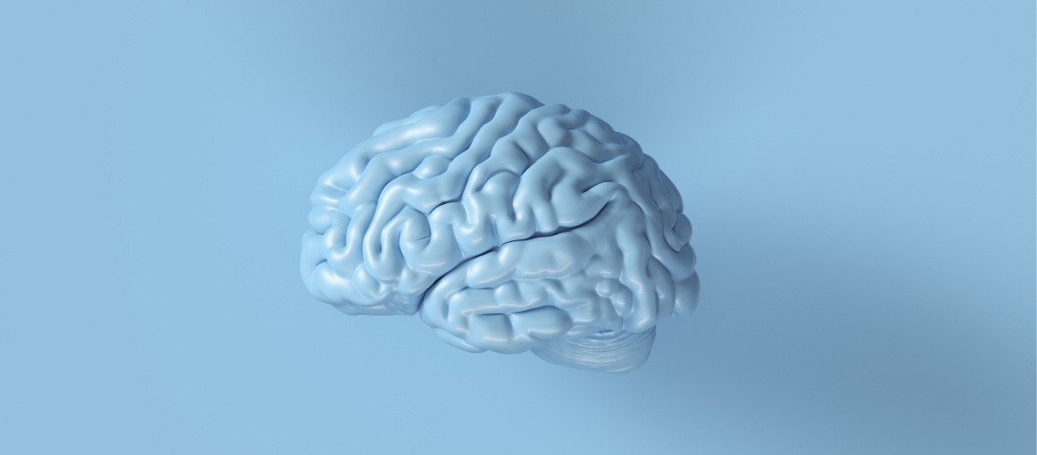 1 mózg, 2 półkule, wiele ról. Czy na pewno wiesz, jak działa Twoja głowa?