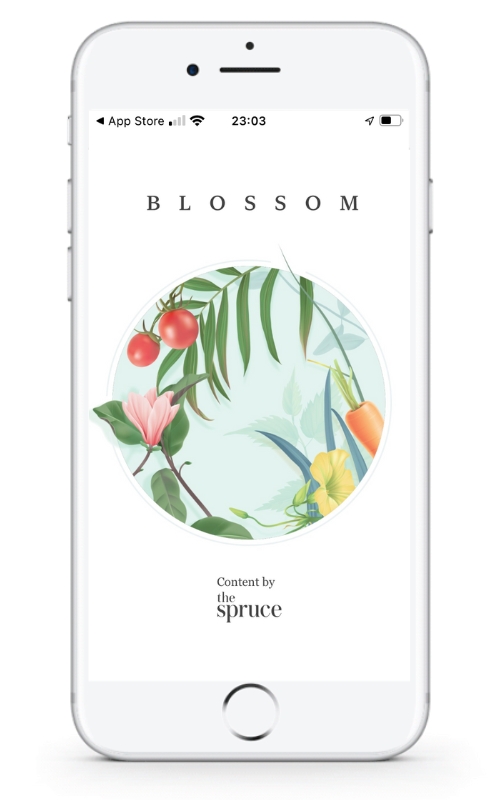 Aplikacja Blossom