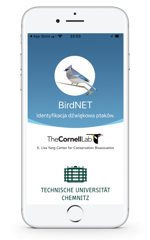 PlantNet, BirdNET i nie tylko. Oto aplikacje, które pomogą Ci połączyć się z naturą!