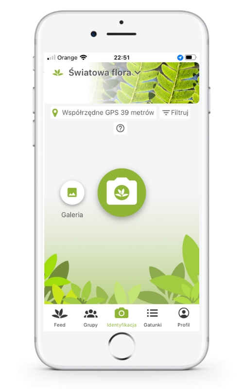 PlantNet, BirdNET i nie tylko. Oto aplikacje, które pomogą Ci połączyć się z naturą!